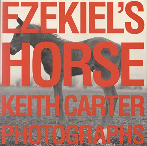 Ezekiel's horse Cover