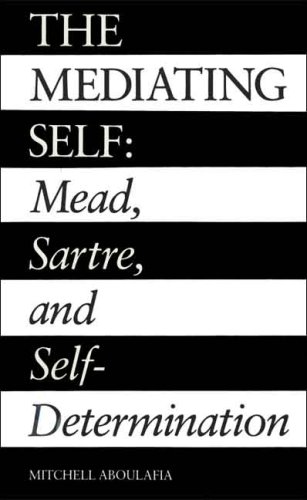 The Mediating Self Cover