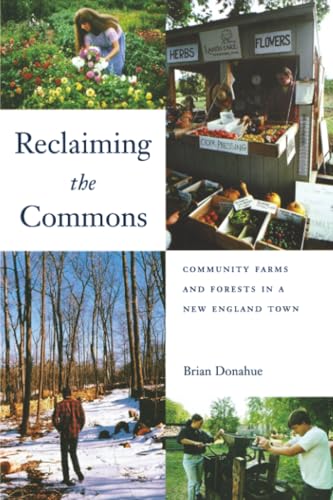 Reclaiming the Commons Cover