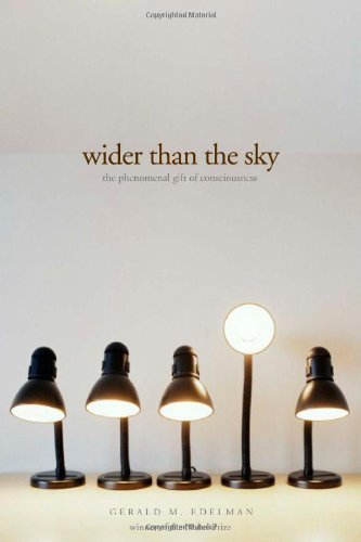 Wider than the Sky Cover