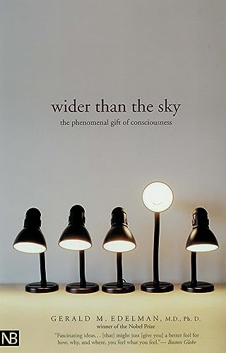 Wider Than the Sky Cover