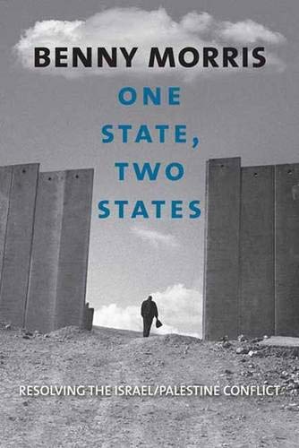 One State, Two States: Resolving the Israel/Palestine Conflict Cover