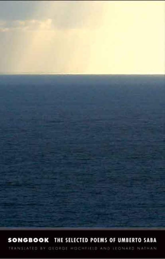 Attempted cover for Book ID: 030013603X