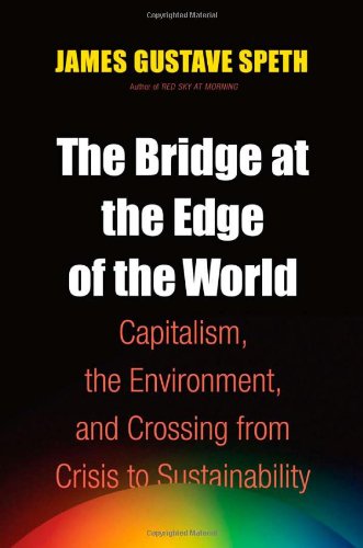 The Bridge at the Edge of the World Cover