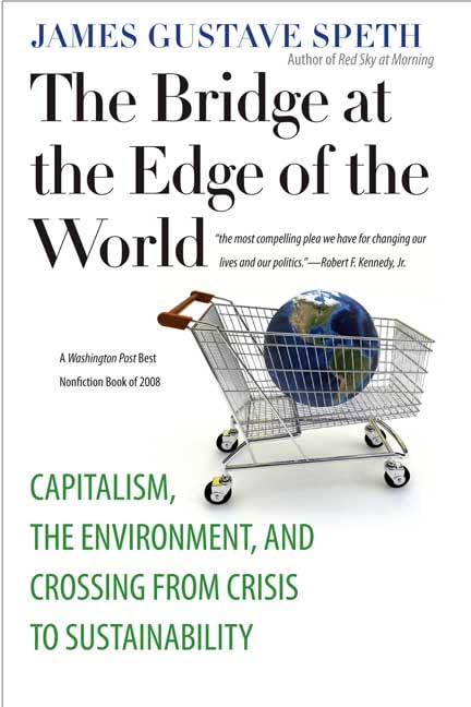 The Bridge at the Edge of the World: Capitalism, the Environment, and Crossing from Crisis to Sustainability Cover