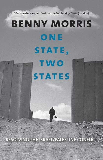 One State, Two States: Resolving the Israel/Palestine Conflict Cover