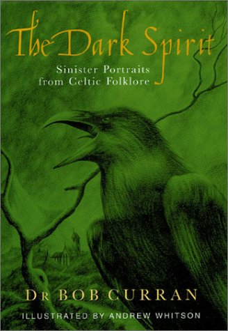 The dark spirit Cover