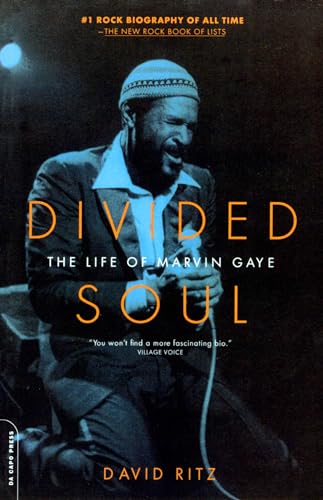 Divided Soul Cover