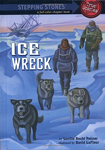 Ice wreck Cover