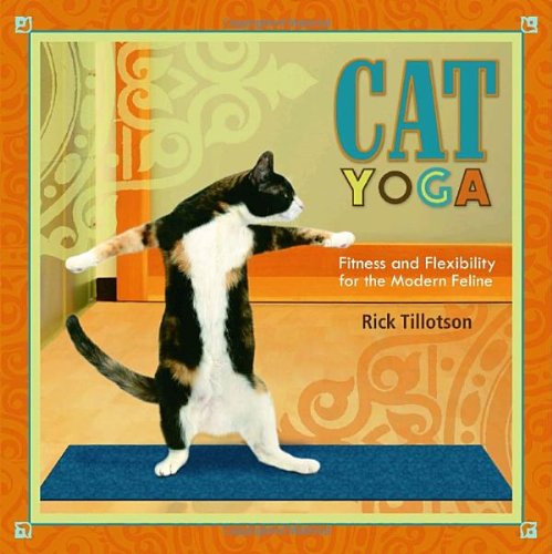Cat Yoga Cover