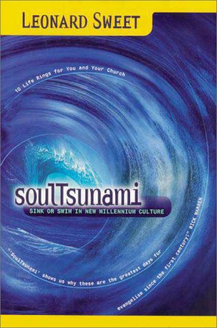 SoulTsunami Cover