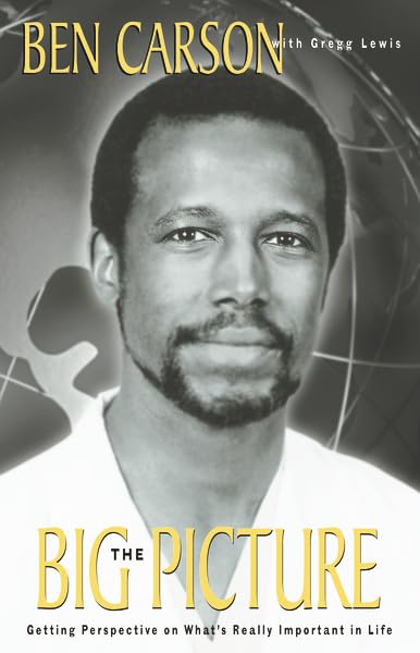 The Big Picture Cover