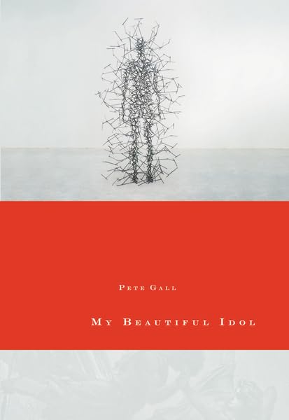 My beautiful idol Cover