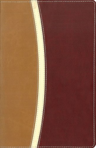 Holy Bible Cover