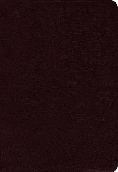 Amplified Bible Cover