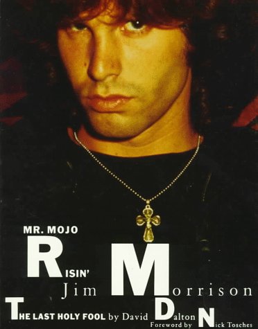 Mr. Mojo risin' Cover