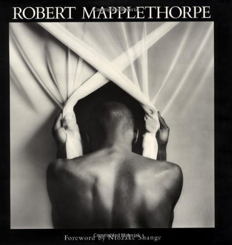 Attempted cover for Book ID: 0312083025