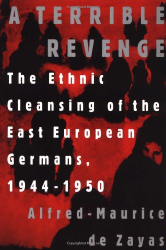 A terrible revenge Cover