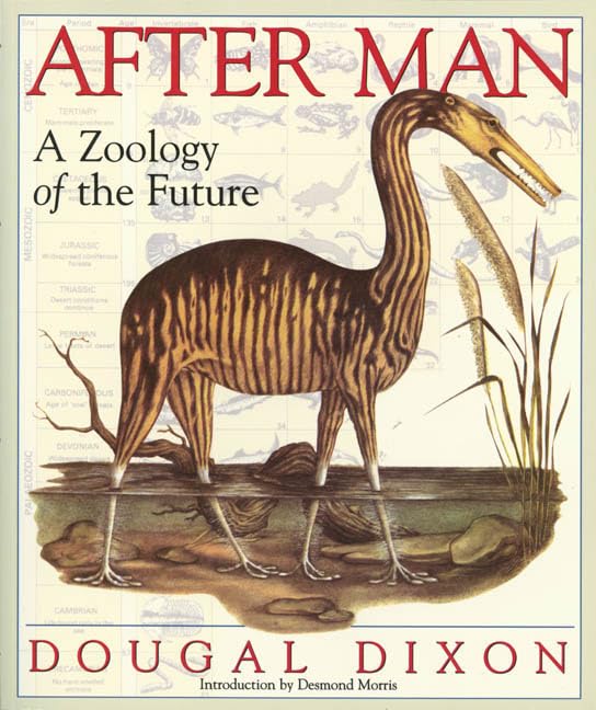 After Man Cover