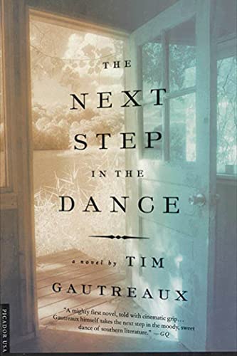 The Next Step in the Dance: A Novel Poster