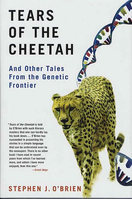 Tears of the Cheetah Cover