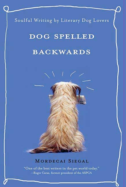 Dog Spelled Backwards Cover