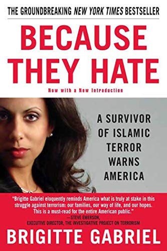 Because They Hate Cover