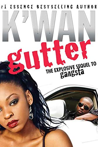 Gutter Cover