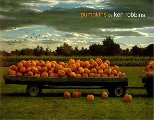 Pumpkins Cover