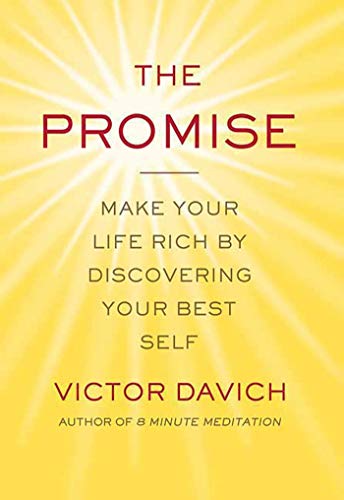 The promise Cover