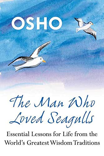 The man who loved seagulls Cover