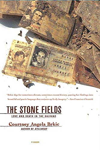 The Stone Fields Cover