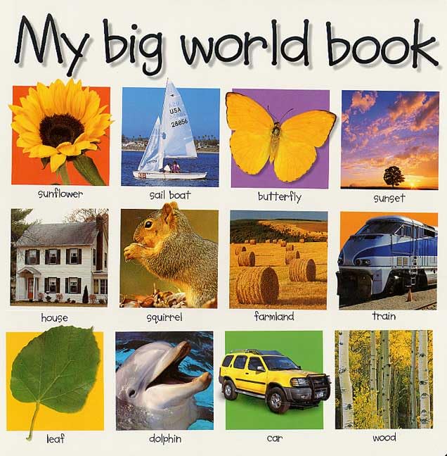 My big world book Cover