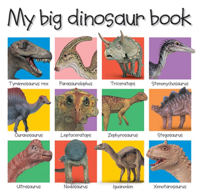 My big dinosaur book. Cover