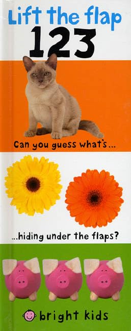 Attempted cover for Book ID: 0312493908