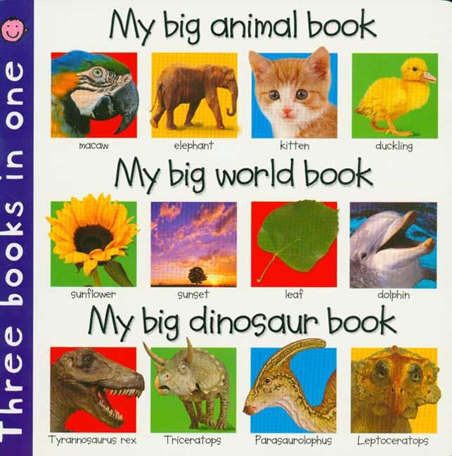 3 in 1 Cover