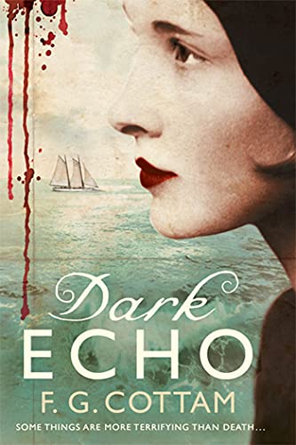 Dark Echo Cover