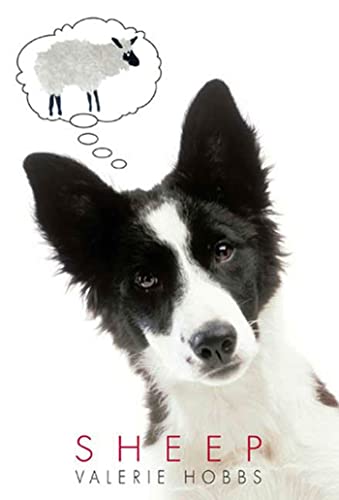 Attempted cover for Book ID: 0312561164