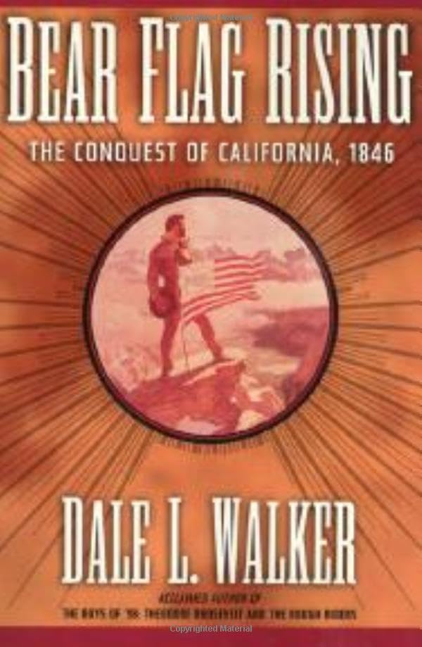 Attempted cover for Book ID: 0312866852