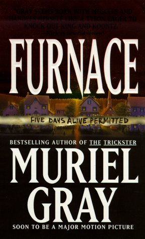Furnace Cover