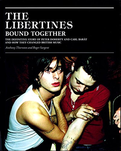 The Libertines Cover