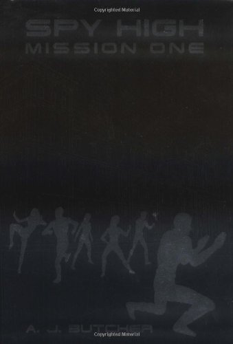 Attempted cover for Book ID: 0316737593