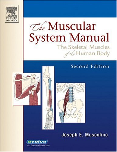 The muscular system manual Cover