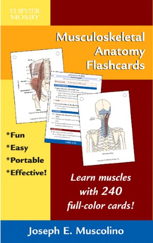 Musculoskeletal Anatomy Flashcards Cover