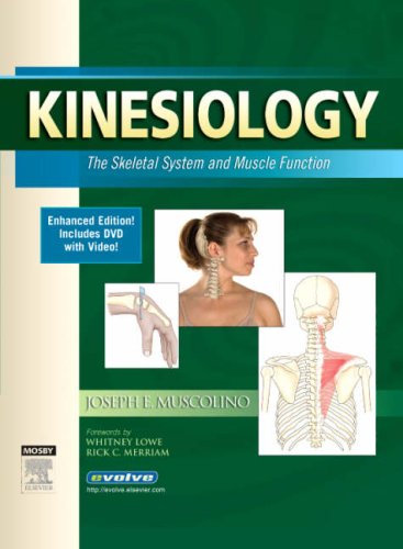 Kinesiology (Enhanced Edition): The Skeletal System and Muscle Function (Kinesiology) Cover
