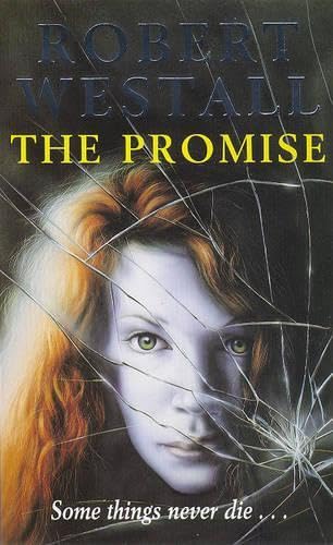 Promise Cover