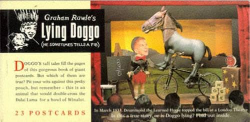 Graham Rawle's Lying Doggo Cover