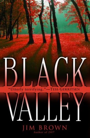 Black Valley Cover