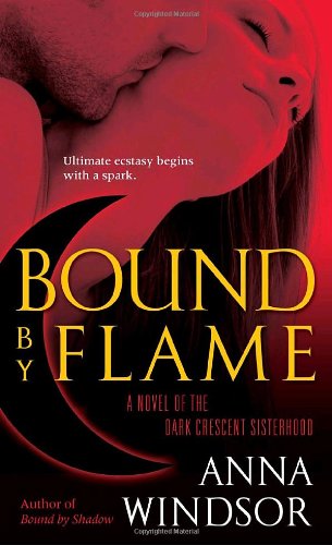 Bound by flame Cover