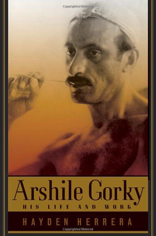 Arshile Gorky Cover